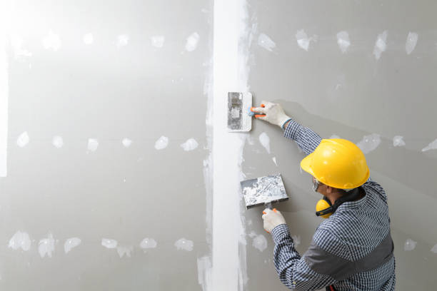 Best Black Mold Removal  in Salineville, OH