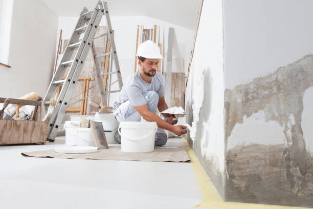  Salineville, OH Mold Removal Pros