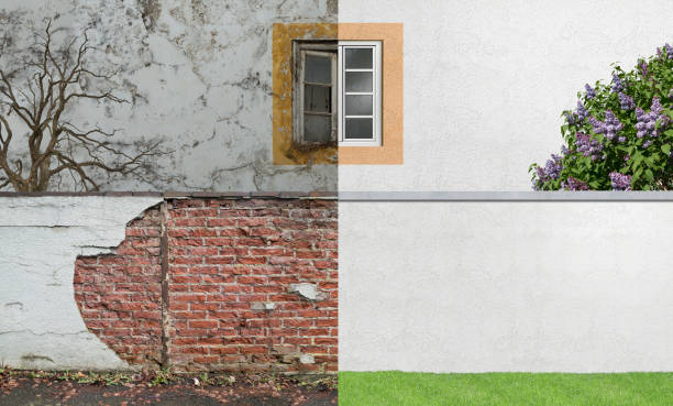 Best Environmental Consulting for Mold Prevention  in Salineville, OH
