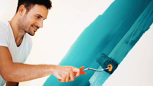 Best Industrial Mold Remediation  in Salineville, OH