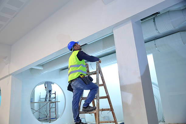 Best Mold Odor Removal Services  in Salineville, OH