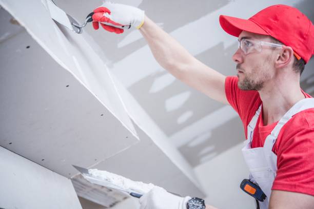 Best Water Damage & Mold Remediation  in Salineville, OH