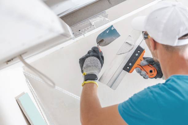 Best Mold Remediation for Healthcare Facilities  in Salineville, OH
